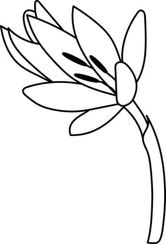 Floral Elements Leaves Flowers Branches. Simple Vector Illustration with Orange Hand Drawn Tropical Flowers and Leaves on a Light Coral Background. Modern Abstract Exotic Garden Design.