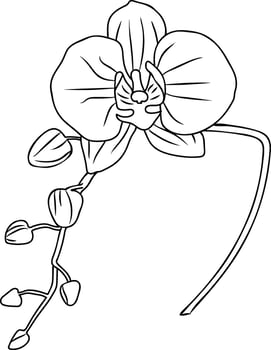 Orhid flower in a vector style isolated.