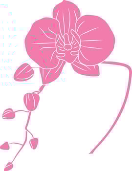 Orhid flower in a vector style isolated.