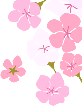 frame of blossom png