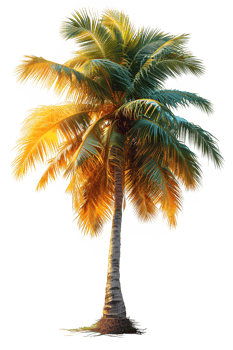 AI generated coconut tree isolated on transparent background ,palm tree png ,generative ai