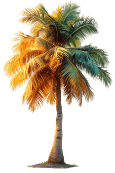 AI generated coconut tree isolated on transparent background ,palm tree png ,generative ai