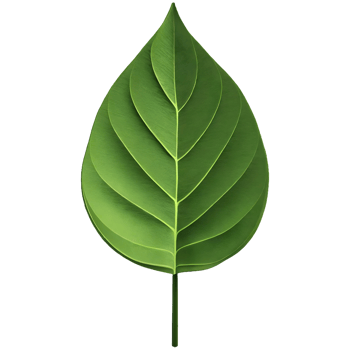 AI generated 3d green leaf isolated on transparent background png
