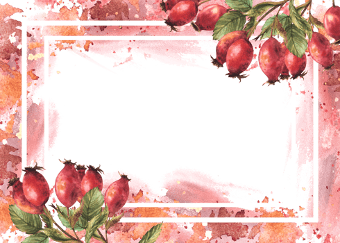 Frame of wild rosehip. Branch red briar fruits, dog rose berries, green leaves with watercolor splashes Hand drawn illustration for banner, post card, medical label. Template png