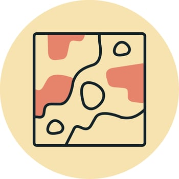 Camouflage Vector Icon