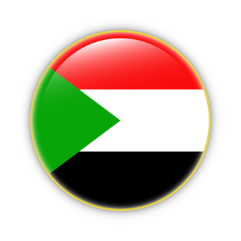 Palestine flag with yellow frame free PNG flag image With transparent background - National Flag