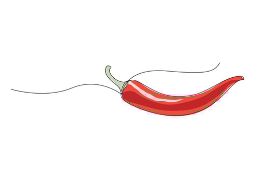 Red chili pepper in continuous one line art drawing. Simple line art. Vector Illustration Hand Drawn Vegetable Cartoon Art.