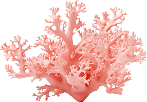 AI generated nature coral png