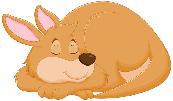 Cute Kangaroo Cartoon Sleeping Vector Illustration. Animal Nature Icon Concept Isolated Premium Vector