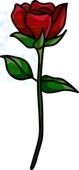 A Single Red Rose Bud Vector Illustration