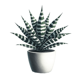 AI generated Zebra Plant succulent  in a pot watercolor clipart png