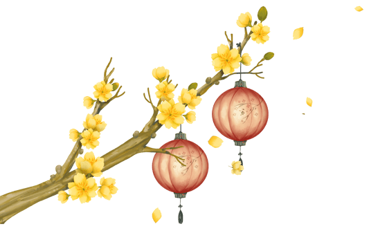 Apricot flower branches with lanterns png