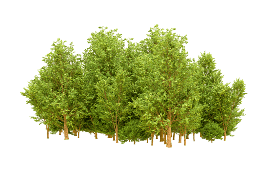Green forest isolated on background. 3d rendering - illustration png