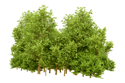 Green forest isolated on background. 3d rendering - illustration png