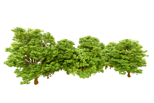 Green forest isolated on background. 3d rendering - illustration png