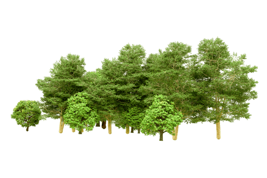 Green forest isolated on background. 3d rendering - illustration png