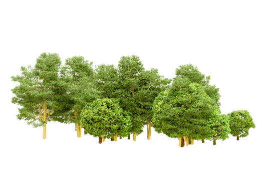 Green forest isolated on background. 3d rendering - illustration png