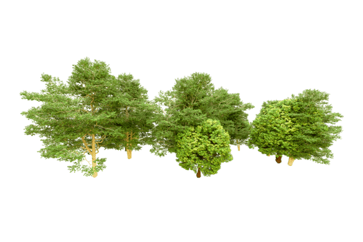 Green forest isolated on background. 3d rendering - illustration png