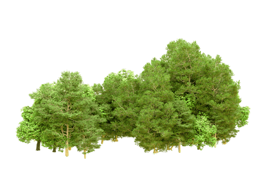Green forest isolated on background. 3d rendering - illustration png