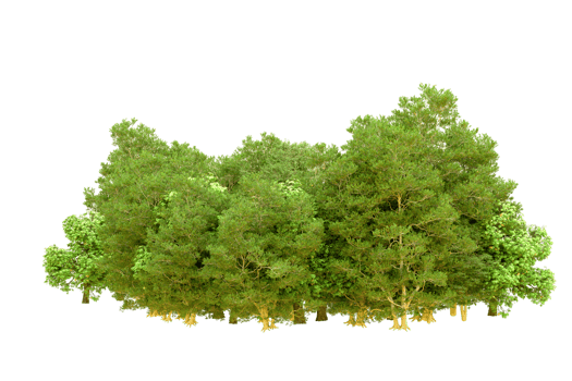 Green forest isolated on background. 3d rendering - illustration png
