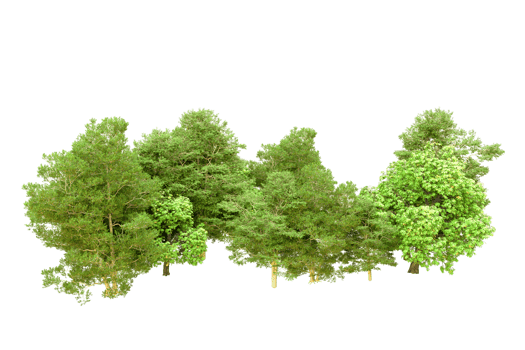 Green forest isolated on background. 3d rendering - illustration png