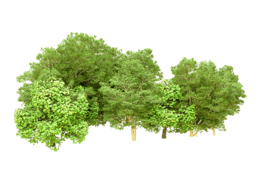 Green forest isolated on background. 3d rendering - illustration png