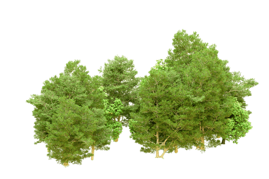 Green forest isolated on background. 3d rendering - illustration png