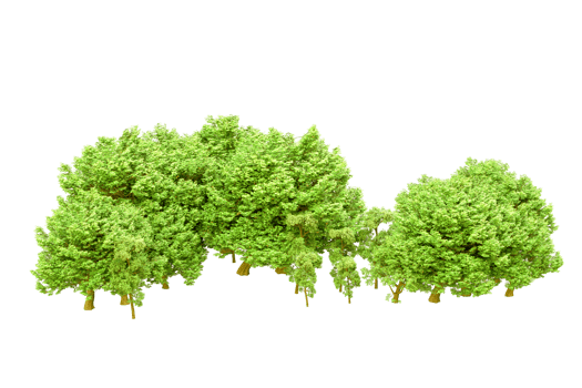 Green forest isolated on background. 3d rendering - illustration png