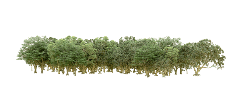 Green forest isolated on background. 3d rendering - illustration png