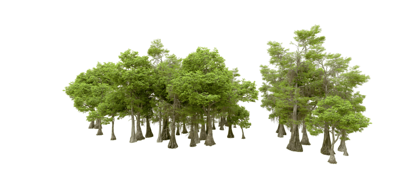 Green forest isolated on background. 3d rendering - illustration png