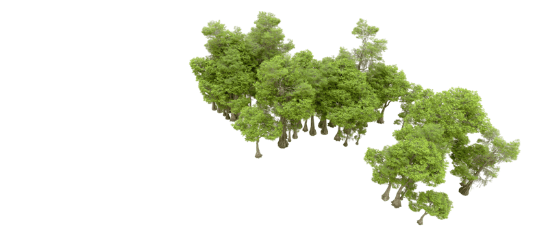 Green forest isolated on background. 3d rendering - illustration png