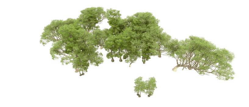 Green forest isolated on background. 3d rendering - illustration png