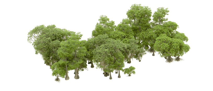 Green forest isolated on background. 3d rendering - illustration png