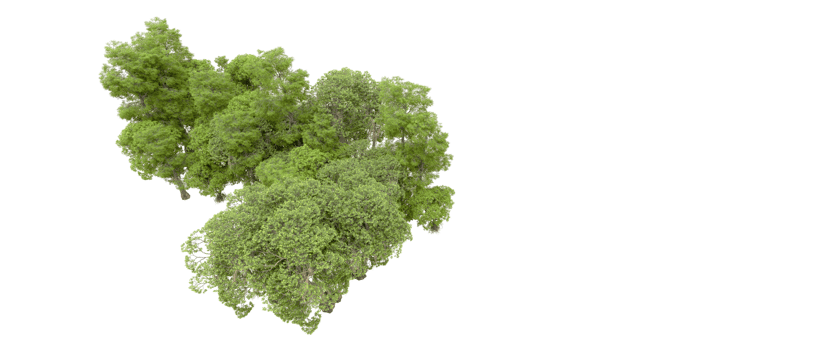 Green forest isolated on background. 3d rendering - illustration png