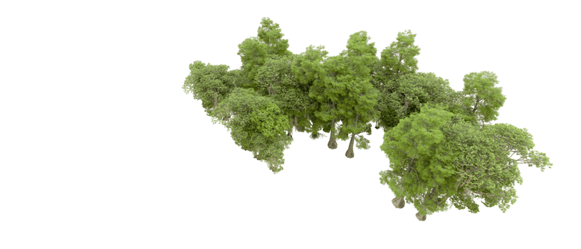 Green forest isolated on background. 3d rendering - illustration png