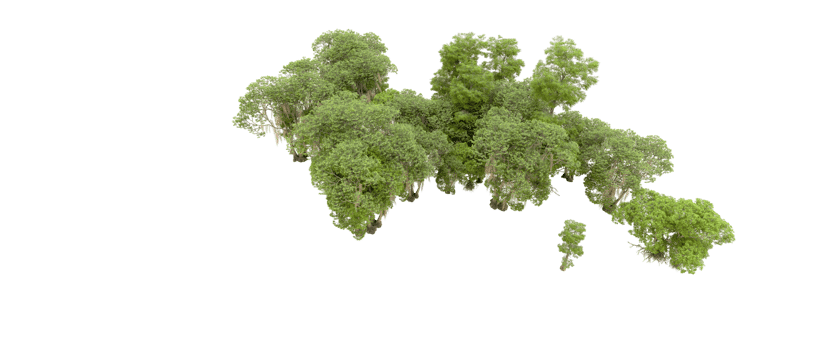 Green forest isolated on background. 3d rendering - illustration png