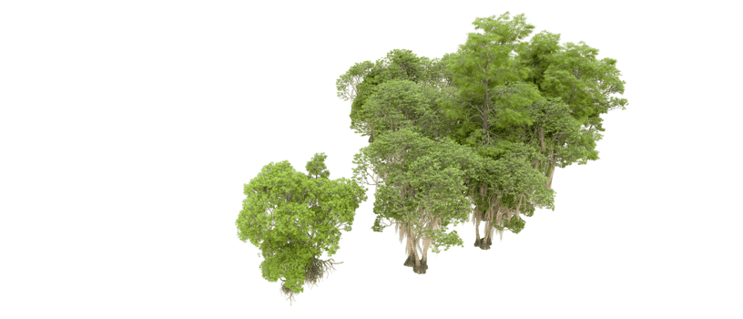Green forest isolated on background. 3d rendering - illustration png