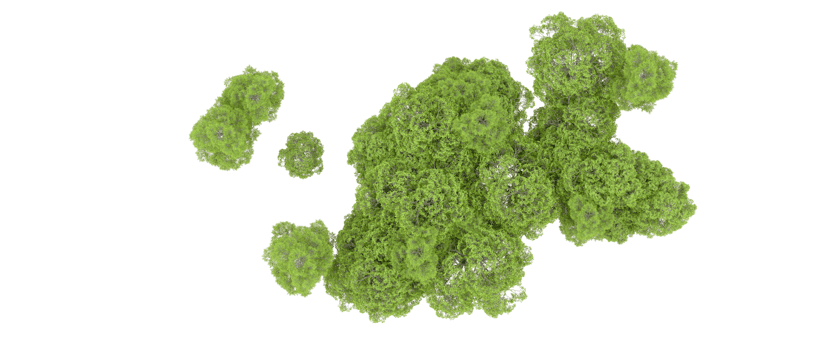 Green forest isolated on background. 3d rendering - illustration png