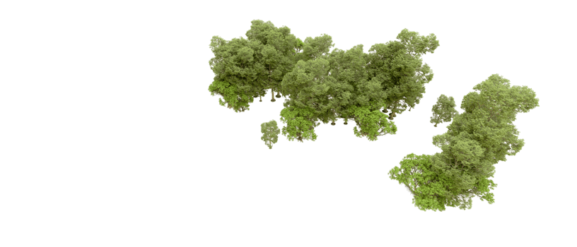Green forest isolated on background. 3d rendering - illustration png