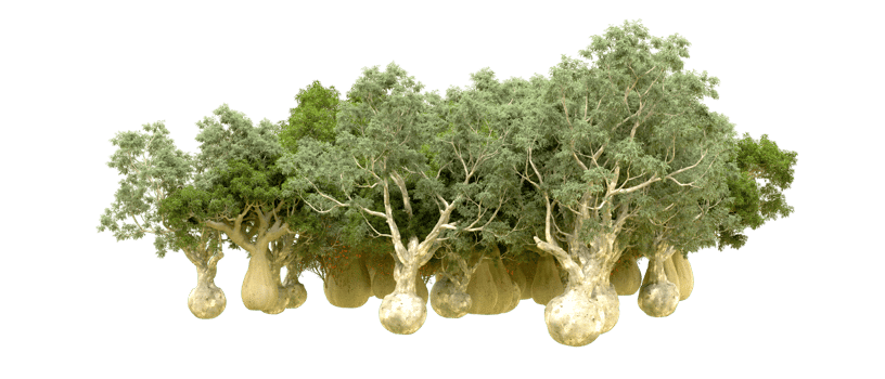 Green forest isolated on background. 3d rendering - illustration png