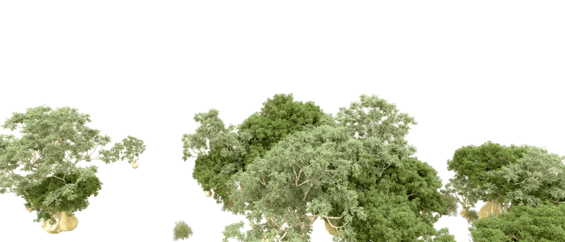 Green forest isolated on background. 3d rendering - illustration png
