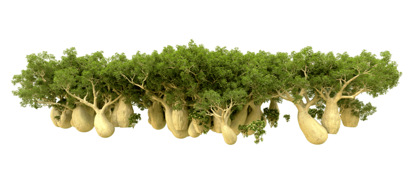 Green forest isolated on background. 3d rendering - illustration png