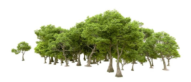 Green forest isolated on background. 3d rendering - illustration png