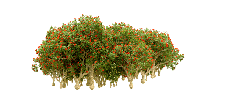 Green forest isolated on background. 3d rendering - illustration png
