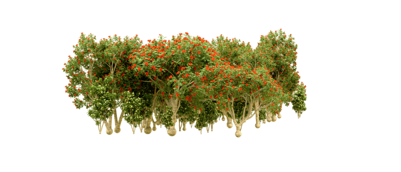 Green forest isolated on background. 3d rendering - illustration png