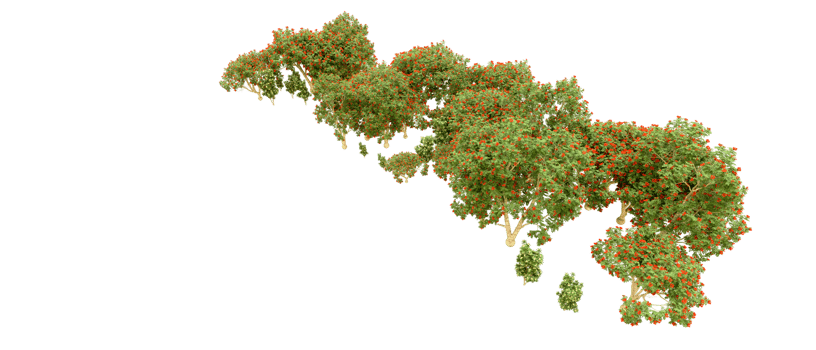 Green forest isolated on background. 3d rendering - illustration png