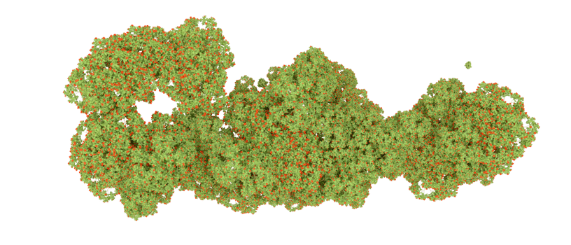 Green forest isolated on background. 3d rendering - illustration png