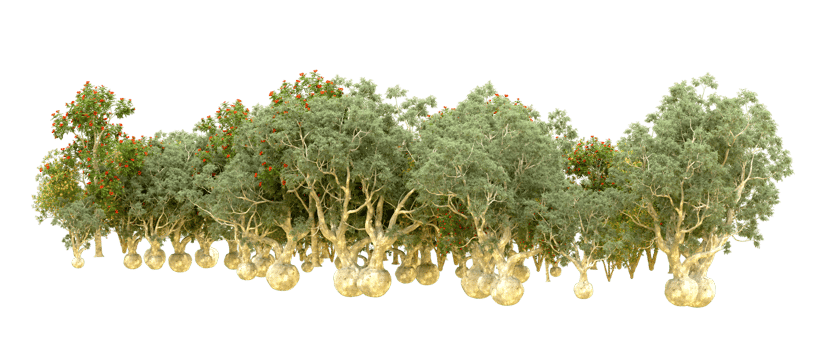 Green forest isolated on background. 3d rendering - illustration png
