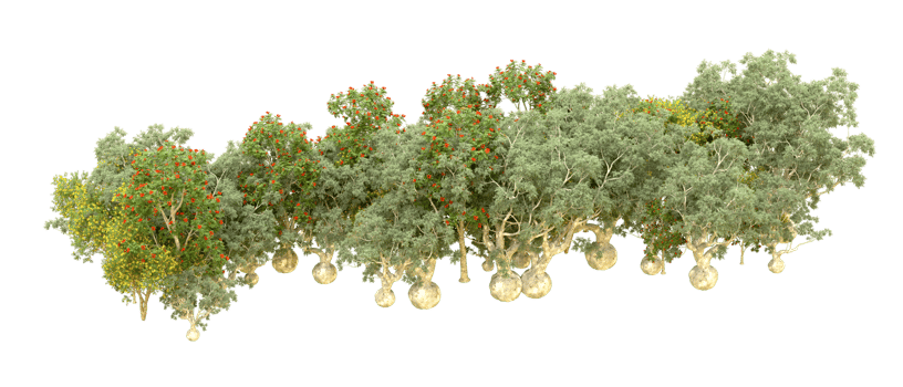 Green forest isolated on background. 3d rendering - illustration png
