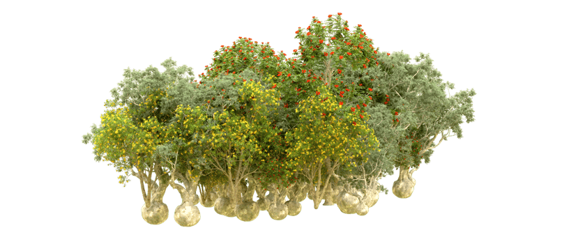 Green forest isolated on background. 3d rendering - illustration png